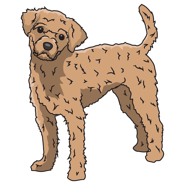 Signmission Maltipoo Dog Decal, Dog Lover Decor Vinyl Sticker D-12-Maltipoo - main